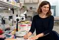 Meet the 10 Cambridge scientists elected to Royal Society in 2025